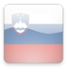 Slovenian