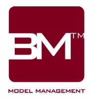 BM Model Management