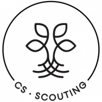CS Scouting