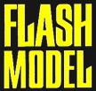 Flash Model Management - Istanbul