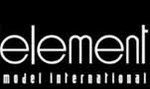 Model Element International