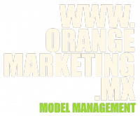 Orange Marketing Model Management