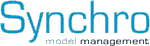 Synchro Model Management