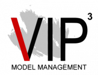 VIP Cube Model Management