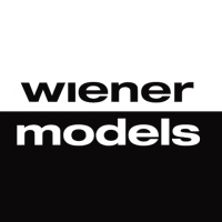 Wiener Models