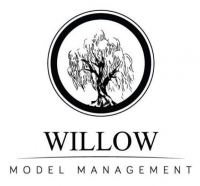 Willow Model Management