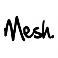 Mesh