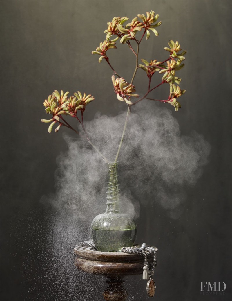 Ymre Stiekema featured in The Master , October 2013