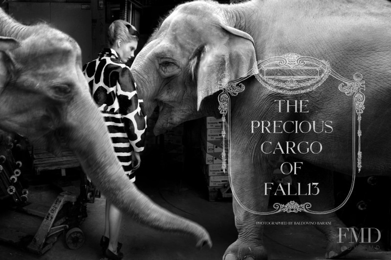 The Precious Cargo Fall 13, September 2013