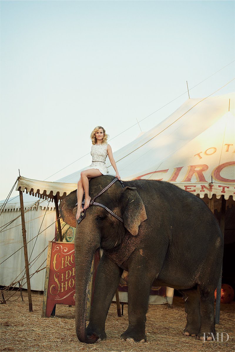 A Day at the Circus, May 2011