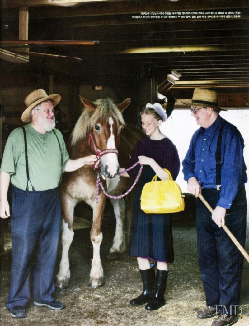 Amish Paradise, July 2012