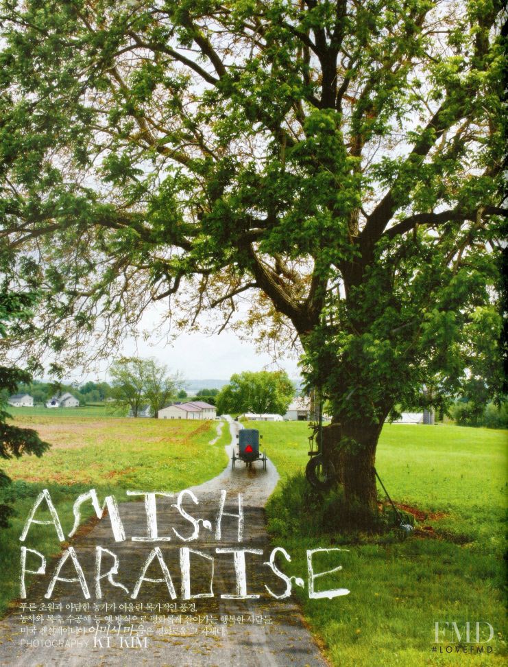 Amish Paradise, July 2012