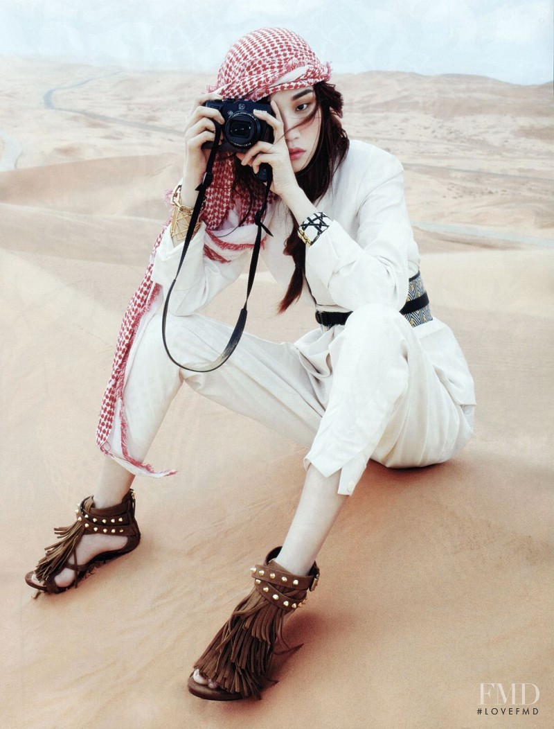 The Middle East Story, June 2013