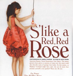 S\'like a Red, Red Rose