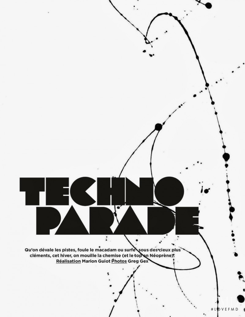 Techno Parade, February 2014