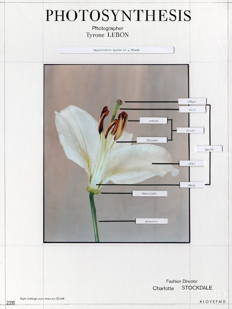 Photosynthesis, February 2014