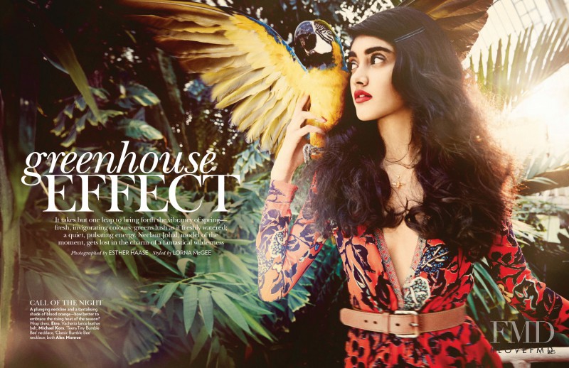 Neelam Johal Gill featured in Greenhouse Effect, March 2014