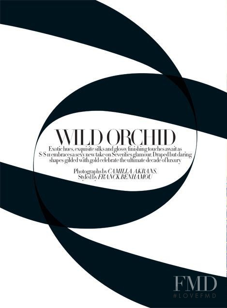 Wild Orchid, June 2011