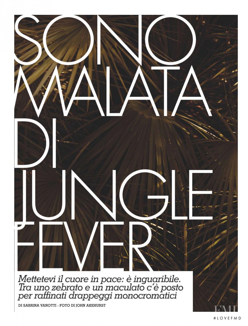 Sono Malata di Jungle Fever, July 2011