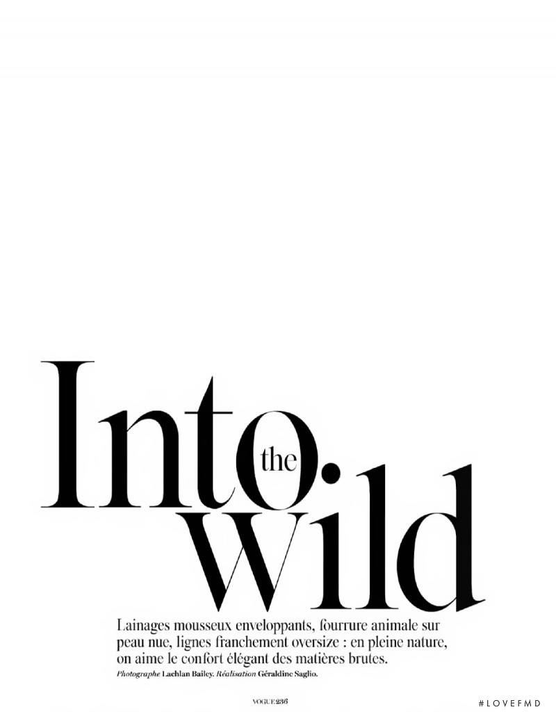 Into The Wild, October 2014