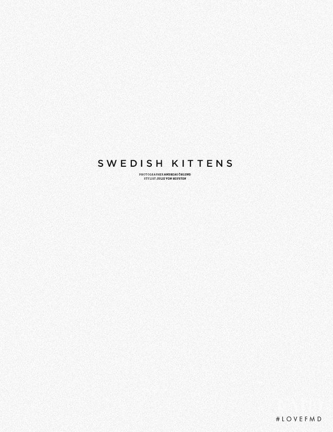 Swedish Kittens, August 2011