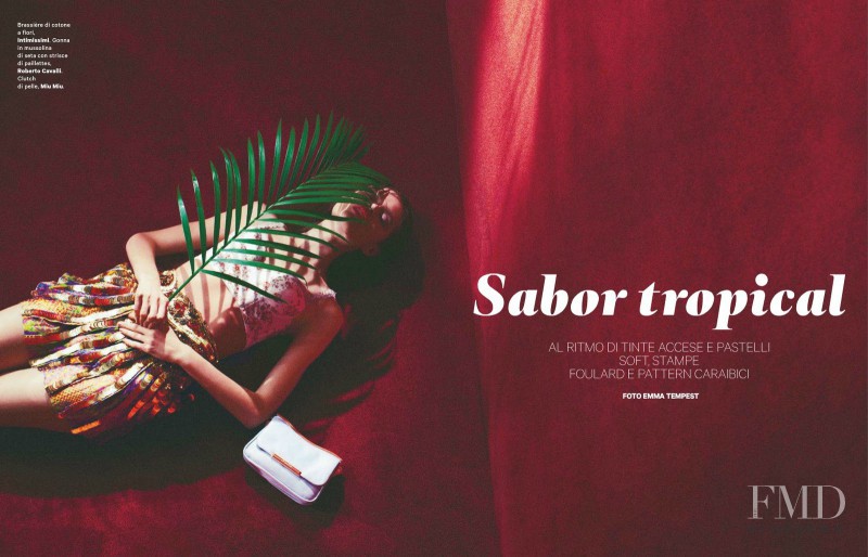 Katie Fogarty featured in Sabor Tropical, February 2012