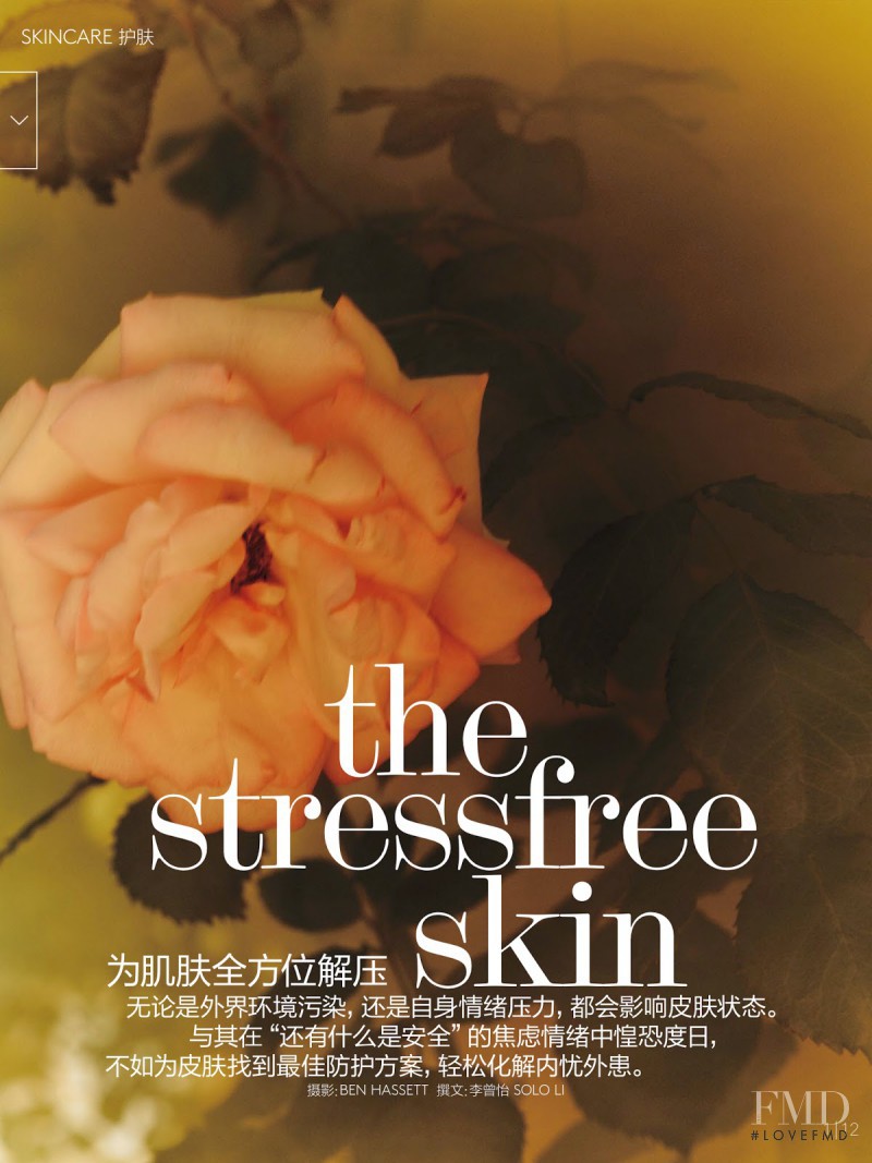 The Stressfree Skin, November 2014