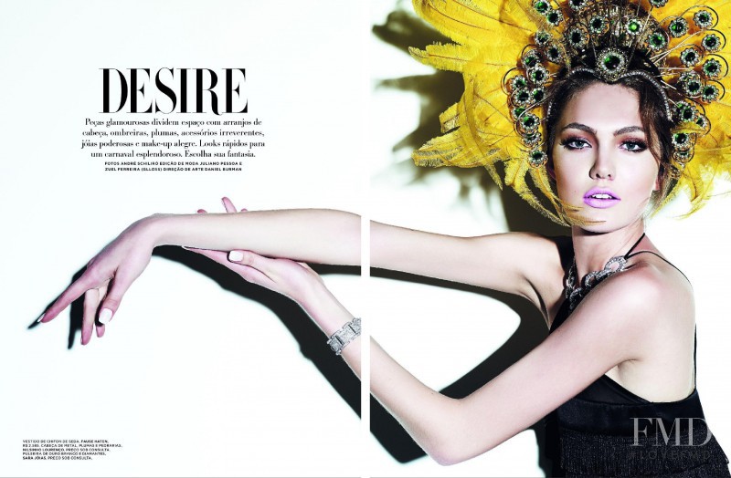 Desire, February 2009