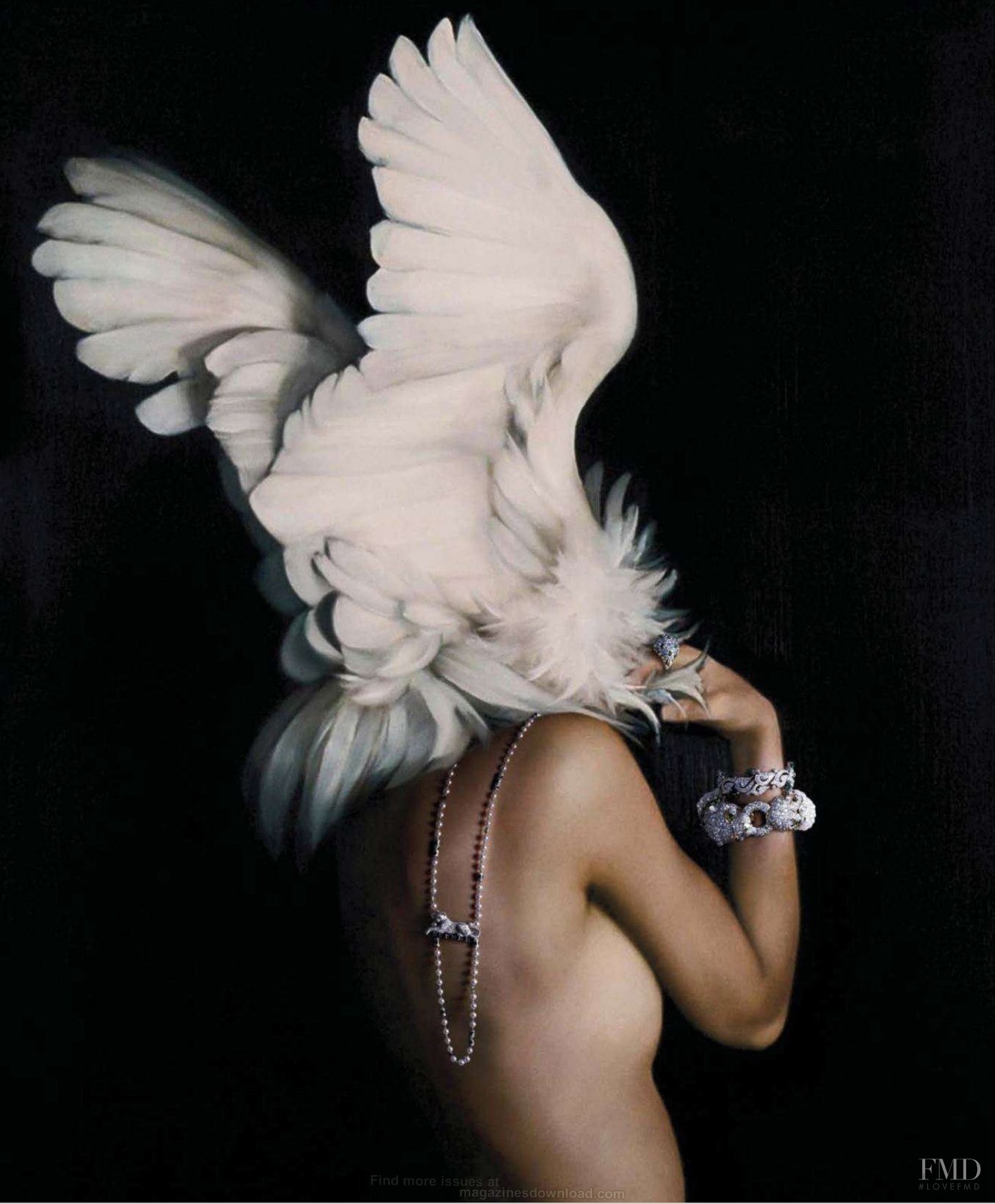 Эми Джадд Amy Judd