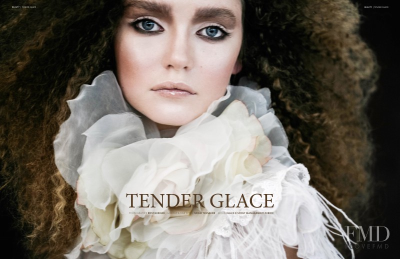 Tender Glace, October 2015