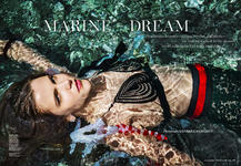 Marine Dream