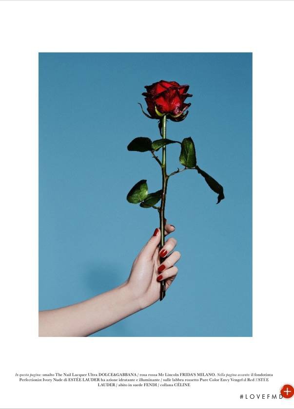 Rose is a rose, March 2015