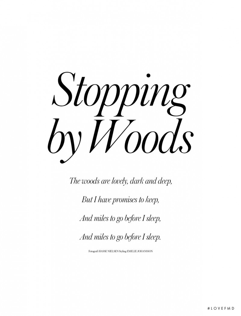 Stopping By Woods, December 2015