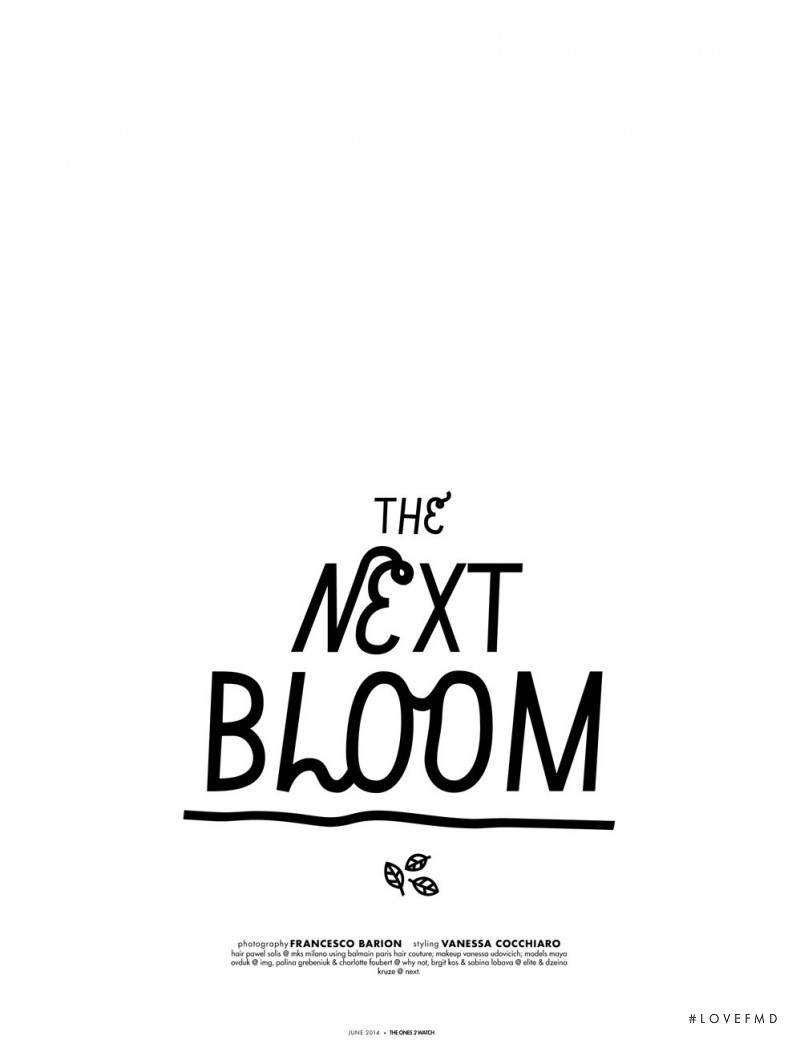 The Next Bloom, June 2014
