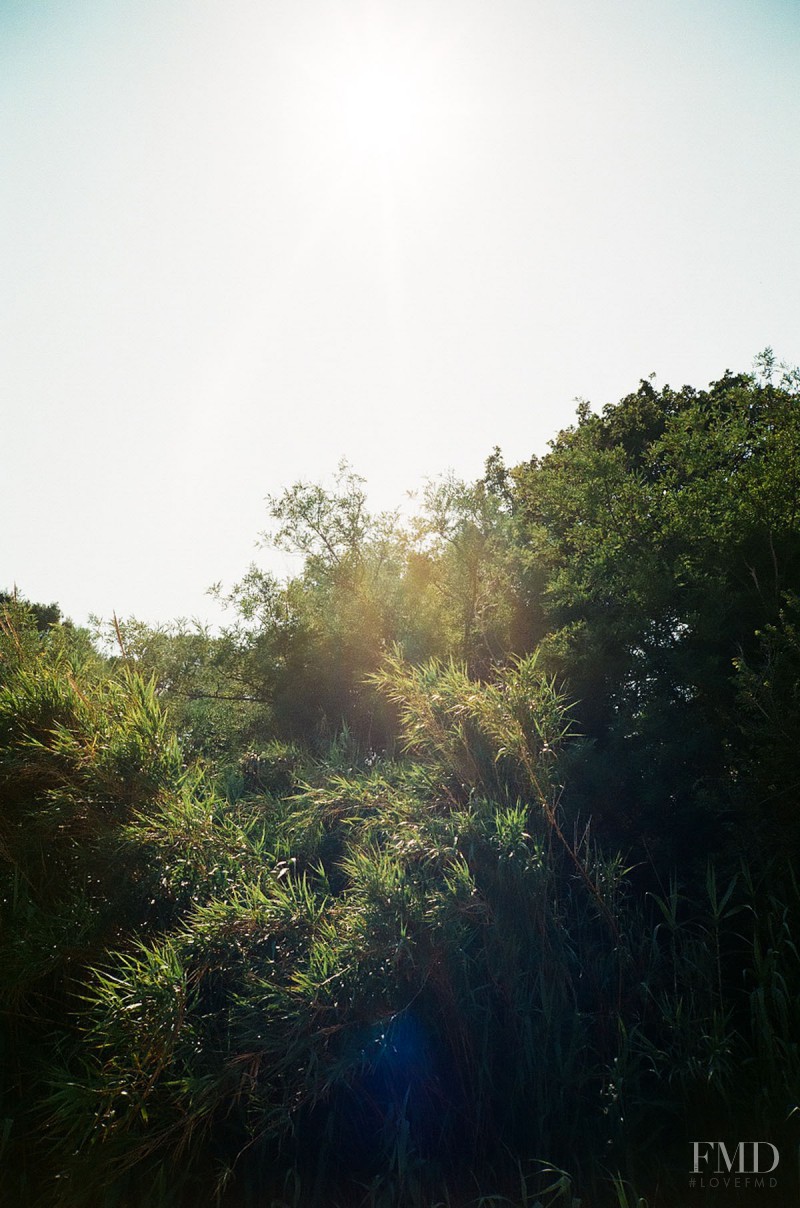 Blue Summer, July 2013