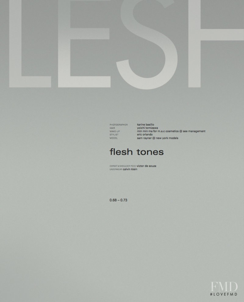 Flesh Tones, February 2011