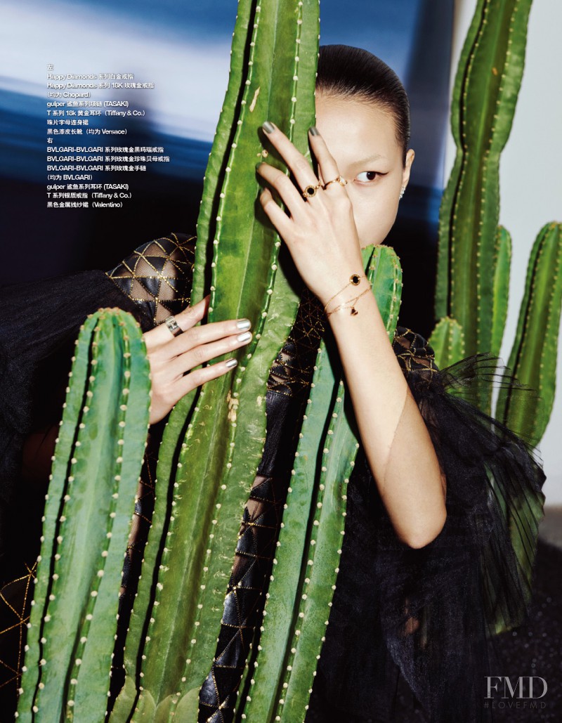 Xin Xie featured in Xin Xie, November 2015