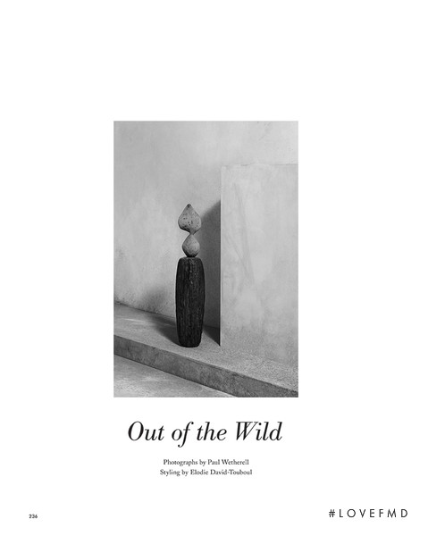 Out of the Wild, February 2016