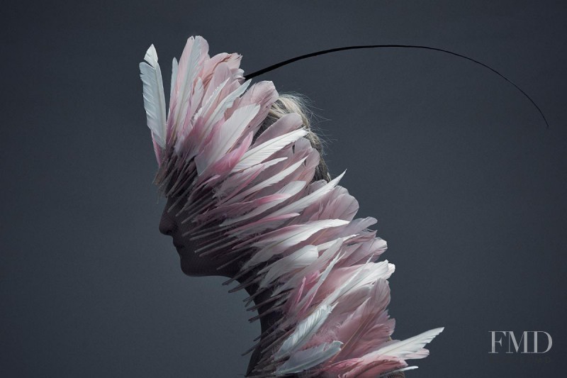 Talisa Quirk featured in Birds, June 2014
