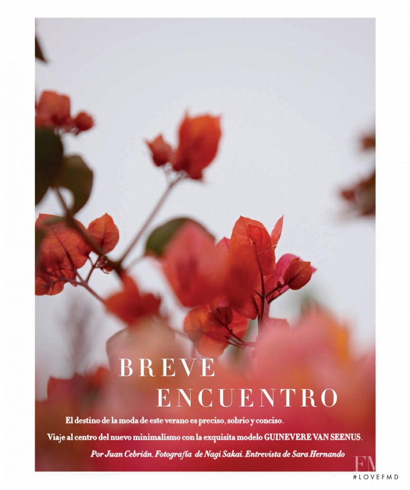 Breve Encuentro, June 2016