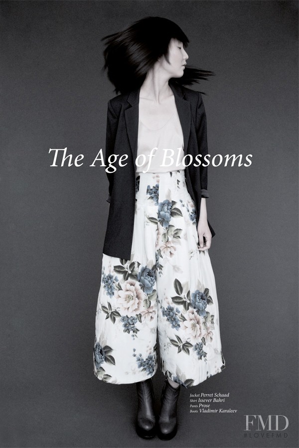 The Age Of Blossoms, December 2011