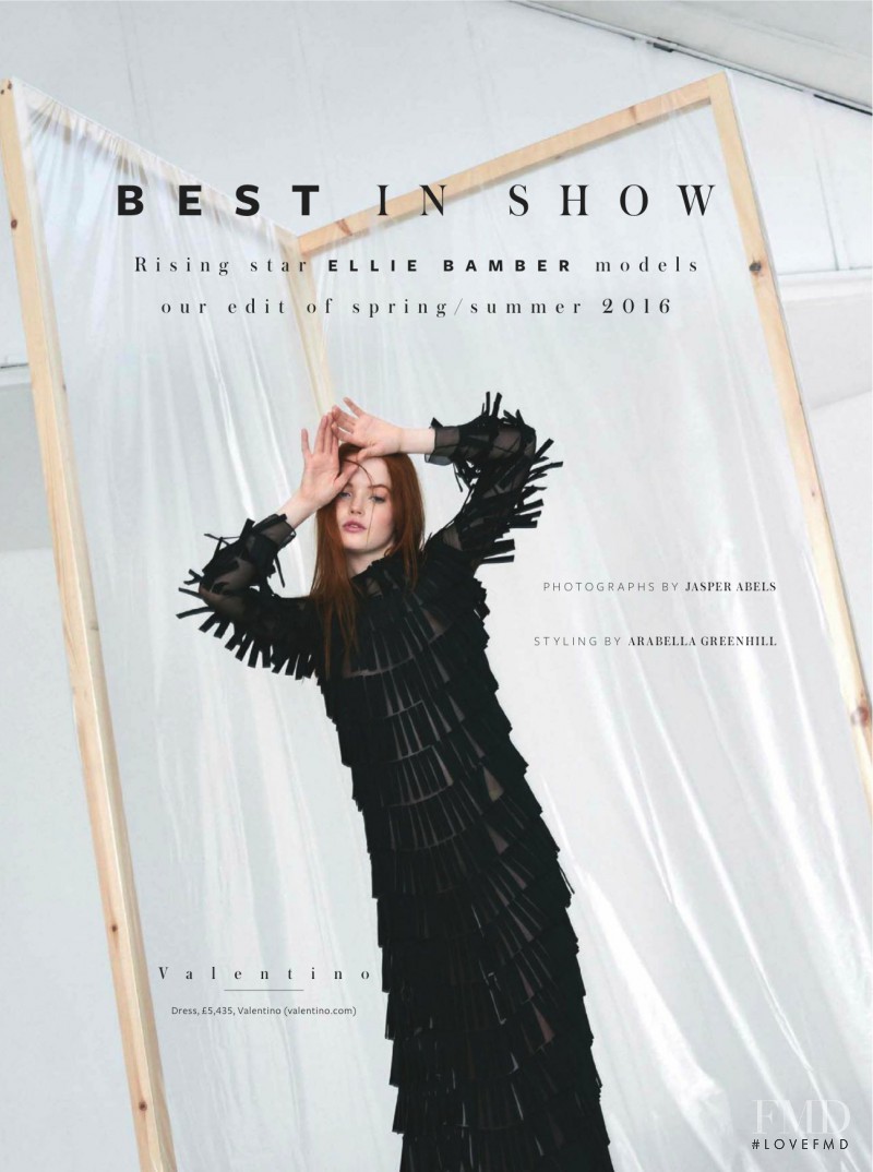 Best In Show, March 2016