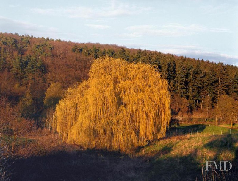 Rheinbach, June 2016