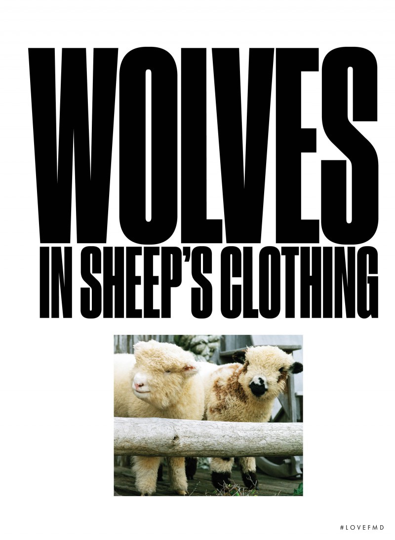 Wolves In Sheep\'s Clothing, September 2016