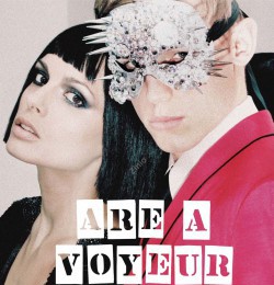 You Are A Voyeur