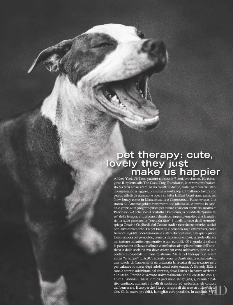 Pet Therapy, December 2016