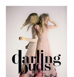 Darling Buds