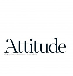 Miss Vogue: Attitude