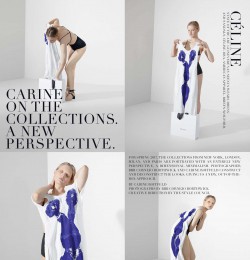 Carine On The Collections. A New Perspective