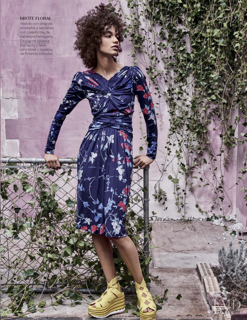 La vie en rose, March 2017